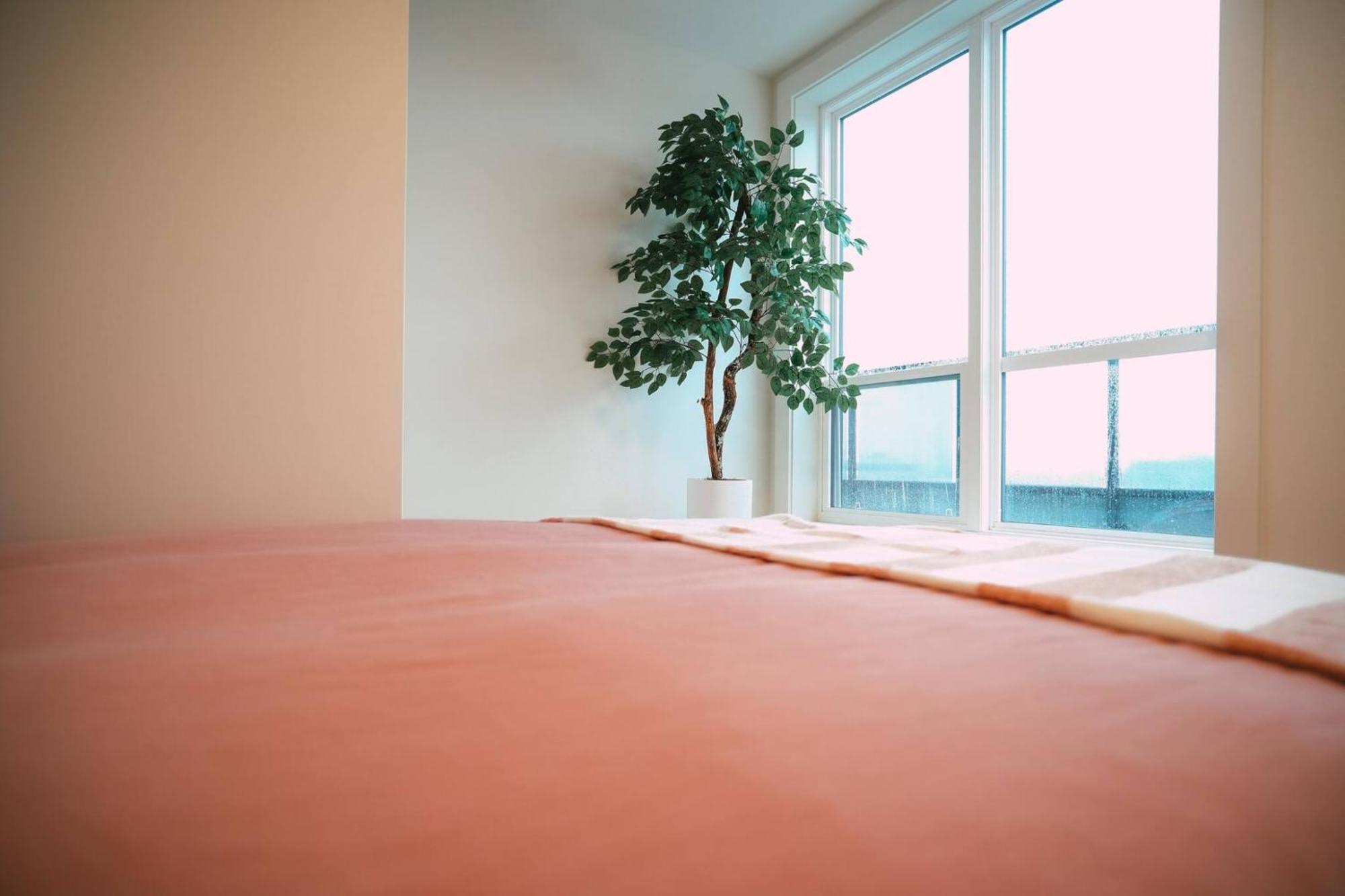 Chic Cozy Retreat - 2Br - Stunning North End Views Apartment Halifax Luaran gambar